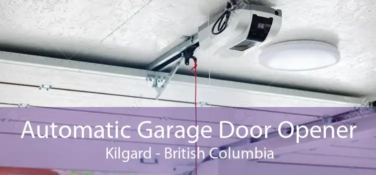 Automatic Garage Door Opener  Kilgard - British Columbia