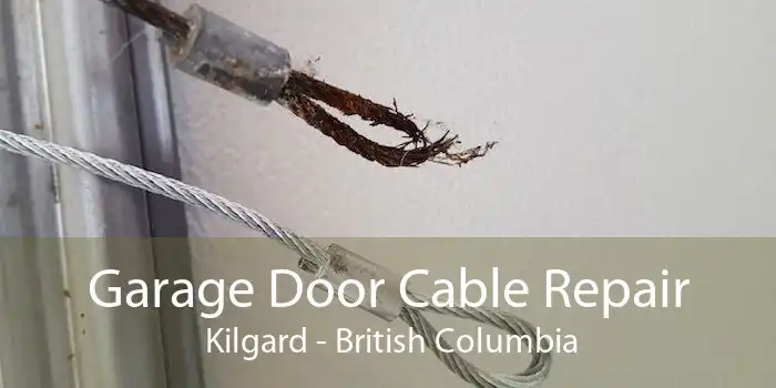 Garage Door Cable Repair  Kilgard - British Columbia