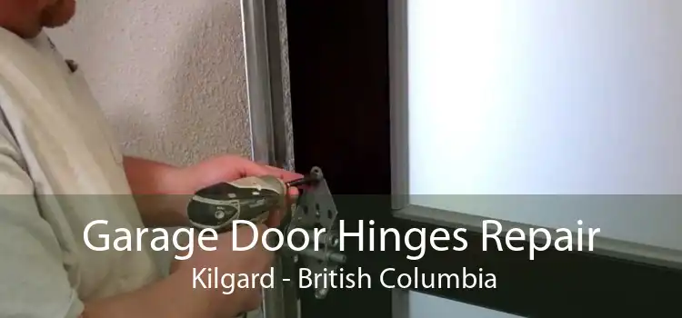 Garage Door Hinges Repair  Kilgard - British Columbia