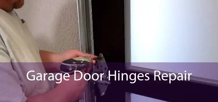 Garage Door Hinges Repair