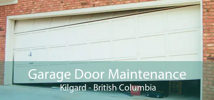 Garage Door Maintenance  Kilgard - British Columbia