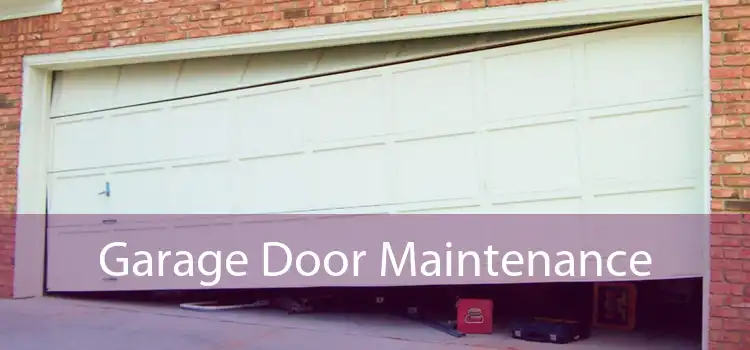 Garage Door Maintenance
