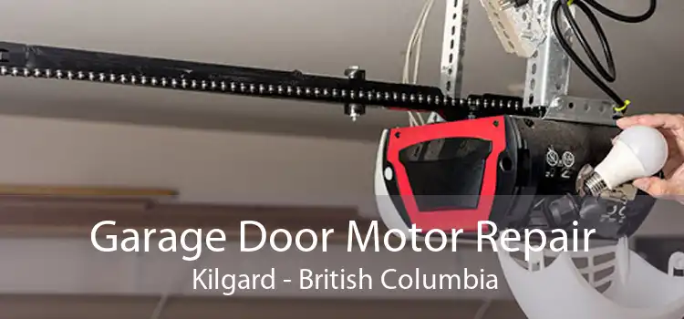 Garage Door Motor Repair  Kilgard - British Columbia
