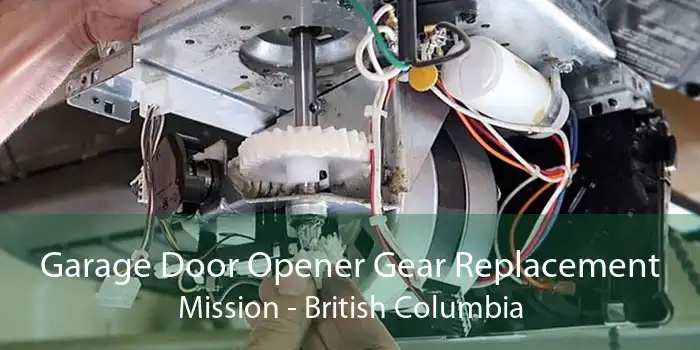 Garage Door Opener Gear Replacement Mission - British Columbia