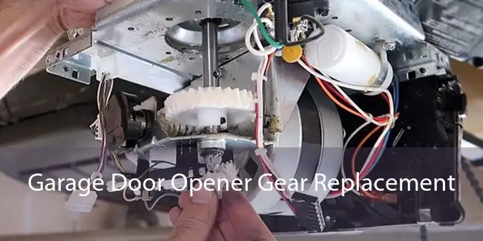 Garage Door Opener Gear Replacement
