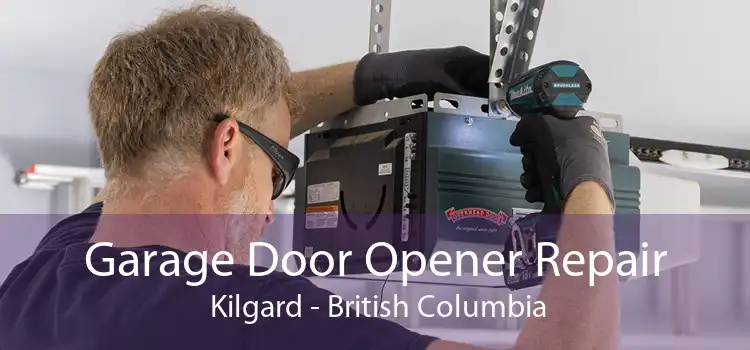 Garage Door Opener Repair  Kilgard - British Columbia