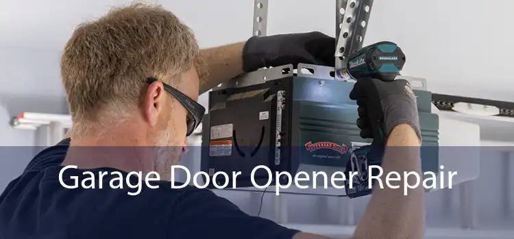 Garage Door Opener Repair