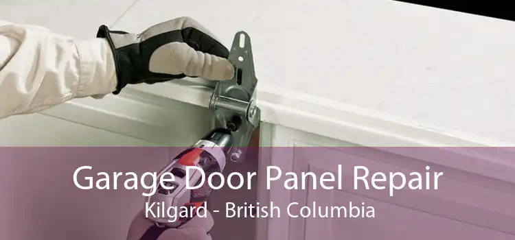 Garage Door Panel Repair  Kilgard - British Columbia