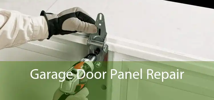 Garage Door Panel Repair