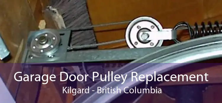 Garage Door Pulley Replacement  Kilgard - British Columbia