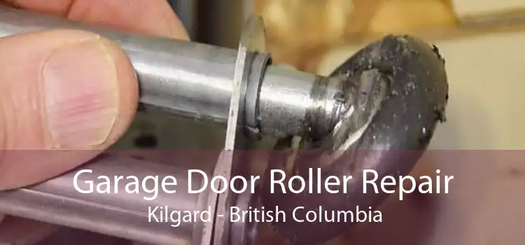 Garage Door Roller Repair  Kilgard - British Columbia