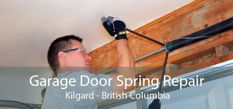 Garage Door Spring Repair  Kilgard - British Columbia