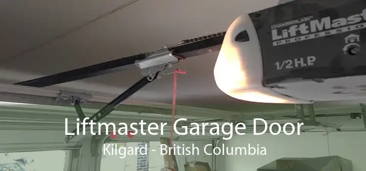 Liftmaster Garage Door  Kilgard - British Columbia