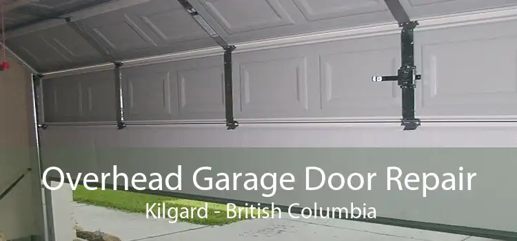 Overhead Garage Door Repair  Kilgard - British Columbia