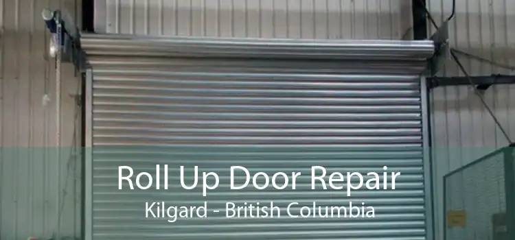Roll Up Door Repair  Kilgard - British Columbia